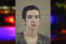 Ashton Shepherd — Whitfield County Jail Bookings