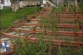 Another Slope Idea Sloped Garden Backyard Garden Design Backyard Garden Layout