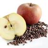 Most fruit trees are best grown from grafted trees that cost $25 to $35 each. 1