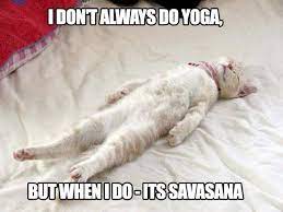 This is quinn practicing her corpse pose. Yoga Inspiration Share If Shavasana Is Your Favorite Yoga Pose Facebook