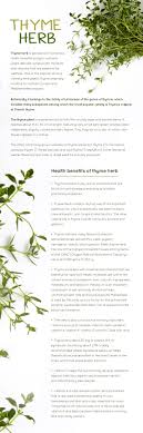 Pin By Gino On Spice Benefits Health Benefits Of Thyme Thyme Benefits Thyme Tea Benefits