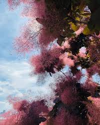 Instagram photo by Hannah Kinkade • Mar 11, 2025 at 9:33 PM