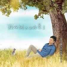 pin on chinese album art covers