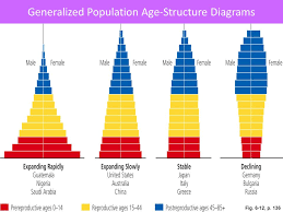 do now population pyramids movie clip ppt video online