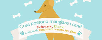 Le mandorle fanno bene al cuore grazie alla presenza dei grassi polinsaturi, sostanze in grado di abbassare i livelli di colesterolo cattivo (ldl) e di trigliceridi nel sangue. Cosa Possono Mangiare I Cani 9 Cibi Tossici 23 Sicuri E Alcuni Con Moderazione