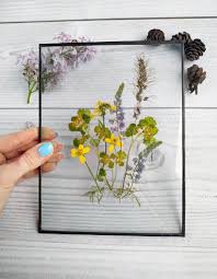 Add a touch of beauty to any space with our decorative line on floral art. Pin On Ná»™i Dung Toi Ä'a LÆ°u