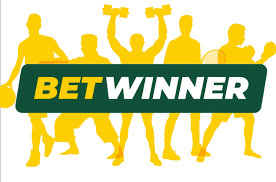 BetWinner Zambia Your Guide to Winning Online Betting - Transtuts