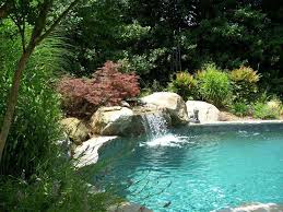 Compare quotes from top pool service companies. Custom Natural Swimming Pools In Annapolis Md Waterfalls From Creative Land Design Inc In Centreville Md 21617