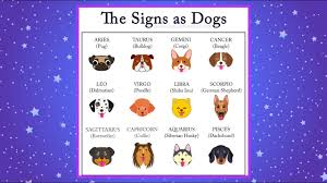 The natural nurturer of the horoscope wheel, cancer energy helps us connect with our feelings. Astrology Zodiac Memes Instagram Horoscopedivination