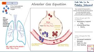 Image result for A-a Gradient