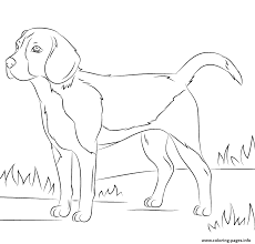 Free printable cute puppy coloring pages for kids that you can print out and color. The Best 18 Cute Puppy Printable Realistic Dog Coloring Pages