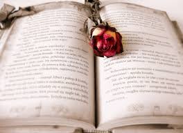 SÄƒrbÄƒtoarea Celor Care SeamÄƒnÄƒ LuminÄƒ Ziua CÄƒrÈ›ii È™i A Bibliotecarului Revista Edusoft