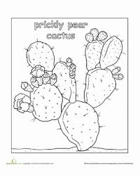 A cactus (plural cacti, cactuses, or less commonly, cactus) is a member of the plant family cactaceae, a family comprising about 127 genera with some 1750 known species of the order. Color Prickly Pear Cactus Worksheet Education Com Prickly Pear Cactus Cactus Drawing Cactus Paintings