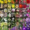 Get started with indoor plants. Https Encrypted Tbn0 Gstatic Com Images Q Tbn And9gcsbgnvabjxtly2p7hfx15aprvnw4tjwwzr 7cxuz5qhkolsqnc4 Usqp Cau