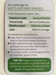 Wildlife Nature Key Settings For Wetland Birds Manual Photography Photography Settings Photography Basics