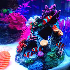 We did not find results for: Resin Coral Reef Fish Cave Tank Artificial Mounted Decor Decoration Aquarium Ebay