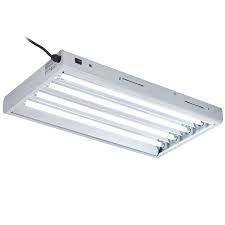 Check spelling or type a new query. Bloomgrow 2ft 4ft T5 Ho Fluorescent Lighting Kit 4 6 8 Bulb 24w 54w 6500k Lamp Included For Indoor Growing T5 Grow Light Fixtures For Plant Growing 2ft 24w 4 Bulb Gardening