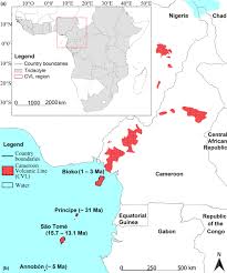Image result for Tridactyle anthomaniaca