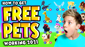 Don't wait any longer and get the rewards you deserve as soon as possible. 5 Ways To Get Free Pets In Adopt Me Working 2021 Prezley Youtube