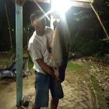 Kolam Pancing Ikan Patin Di Surabaya Mister Pancing