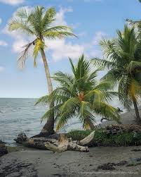 Livingston Izabal Guatemala Guatemalaphotostock Paisaje Landscape Landscapephotography Instagood Ins Travel Photography Landscape Photography Instagram