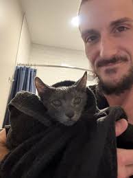 Literally the funniest cat I've ever owned 😂😂 he's such a dork