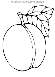 Apricots originally came from china. Apricot 3 Coloring Page Free Printable Coloring Pages For Kids