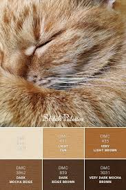 One can notice ivory colour palettes commonly at weddings. Ginger Gem Colour Pallette Colour Pallete Pallete Color