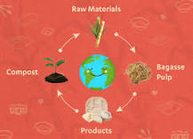 How Bagasse plates are made? - Chuk Compostable Tableware