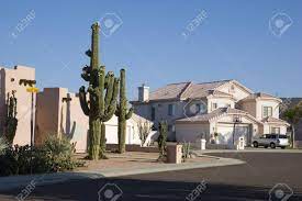 Compare cactus flats, arizona to any other place in the usa. Phoenix Arizona Cul De Sac With Saguaro Cacti In Front Adobe Stock Photo Picture And Royalty Free Image Image 980982