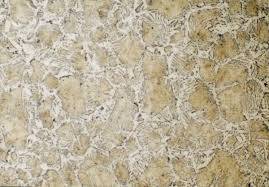 Image result for steel micrograph