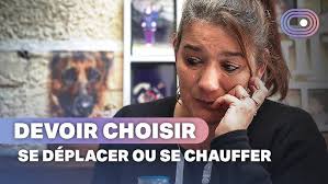 Inflation, pouvoir d'achat : le nerf de la guerre des législatives 2024 ?