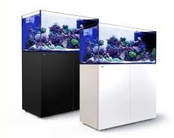 Check spelling or type a new query. The 8 Places To Shop For The Best Fish Tanks In Singapore 2021