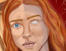 Madmax Illustration Projects :: Photos, videos, logos, illustrations and  branding :: Behance