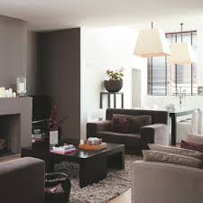 30 Idees Peinture Salon Aux Couleurs Tendance Deco Cool