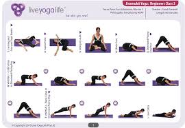 Liveyogalife Com Hatha Yoga For Beginners Jivamukti Yoga Basic Yoga