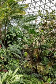 Bloedel Conservatory De Vancouver La Serre Tropicale Et Ses Oiseaux Jardin Tropical Tropical Serre Jardin
