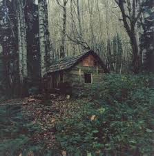 Spooky Old Log Cabin In The Forest Mountain House In The Woods Vintage House In The Woods Cabins In The Woods Cabin
