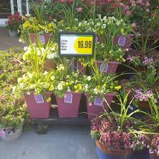 Tickets, tours, hours, address, harris teeter reviews: Flower Gallery Harris Teeter Florist