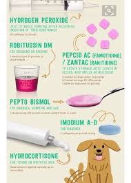 Pin On Fur Babies