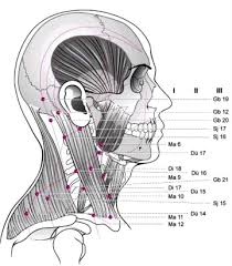 Chinesische Orthopadie Teil 2 Behandlungskonzepte Fur Die Obere Und Die Untere Halswirbelsaule Sciencedirect