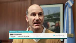 Proyectos territoriales de agricultura familiar en producción vegetal