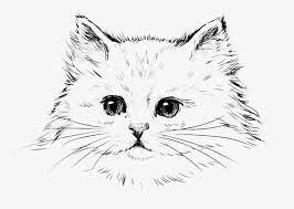 Dan walks you through drawing a simple rose. Pin Oleh Ana Melo Di Pencil Sketch Drawings Anatomi Kucing Menggambar Sketsa Menggambar Kucing