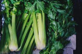 Jadi, itu dia fungsi daun salam di dalam masakan dan juga untuk kesehatan. 10 Daun Ini Berjasa Buat Makanan Dan Minumanmu Jadi Sedap Sudah Tahu