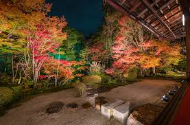 2019 Japan Fall Colors Forecast Autumn Foliage Viewing
