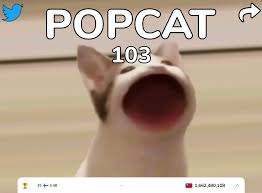#pop cat meme #cat #cat memes #memes #popcat #funny cats #damemer #memer #da memer #cat pop #pog cat #mouth cat. Pznnr Jpqaqq2m