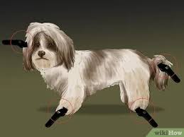 Now, this shih tzu haircuts style is very easy and will make your canine hairball look like a stuffed toy. How To Puppy Cut A Shih Tzu 11 Steps With Pictures Wikihow