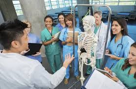 Choose a Medical Career to Suit Your Personality | Top Medical ...