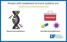 Image result for Humoral Immunodeficiency