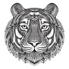 Check mine out please let me know what you think. Tiger Tattoo Stock Illustrations Cliparts And Royalty Free Tiger Tattoo Vectors